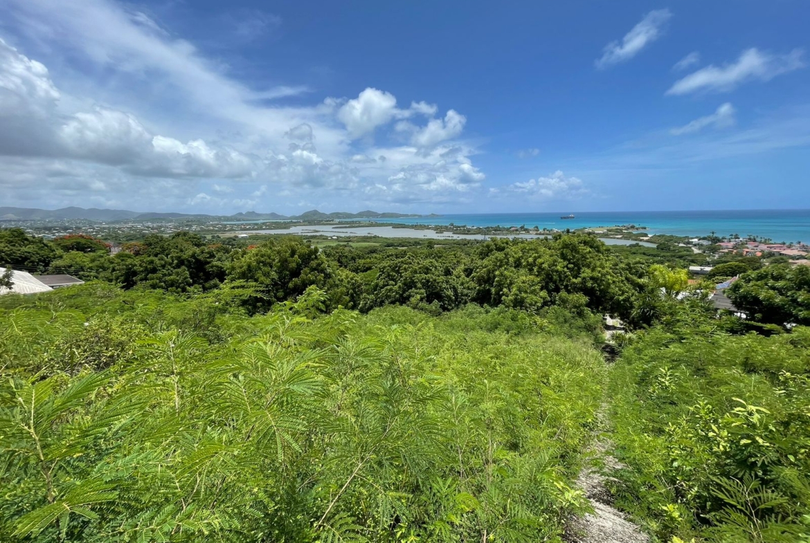 Antigua Paradise View Oceanview Land for Sale