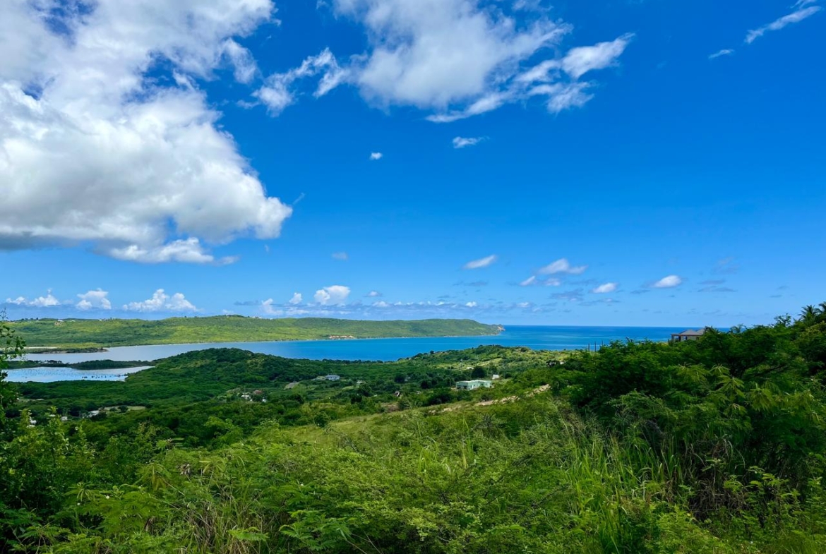 oceanview lands for sale in Antigua