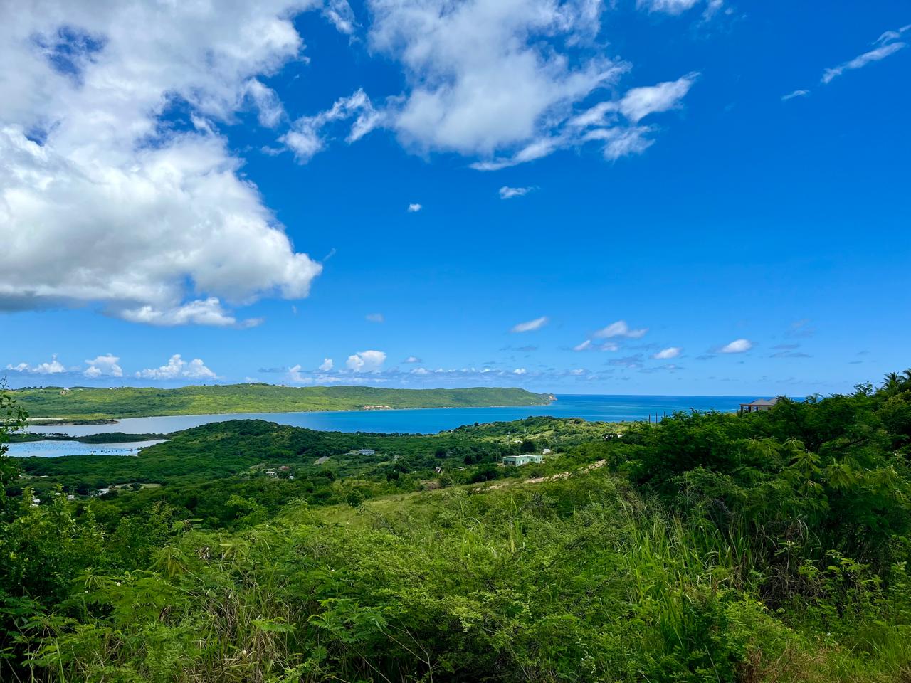 oceanview lands for sale in Antigua