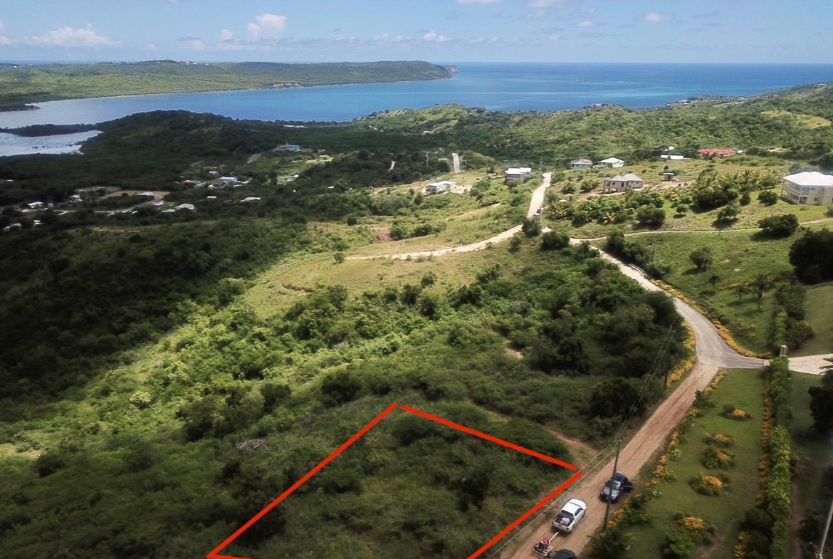 Picadilly oceanview lands for sale in Antigua