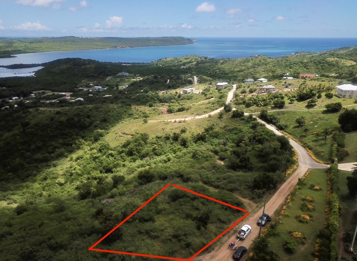 Picadilly oceanview lands for sale in Antigua